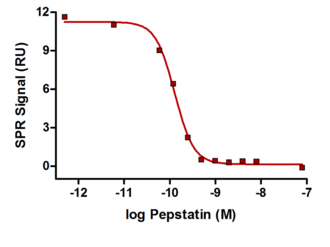 Lösungskompetitionsassay von Cathepsin D mit dem Proteaseinhibitor Pepstatin
