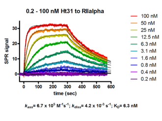 kinetic analysis of peptide inhibitor HT31 binding to PKA RII alpha