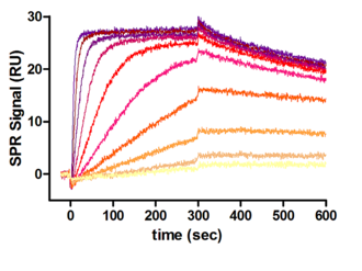 different concentrations of protease cathepsin D binding to a coupled inhibitor