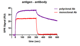 qualitative antibody characterisation: different binding characteristics of one antigen binding to a monoclonal or polyclonal antibody
