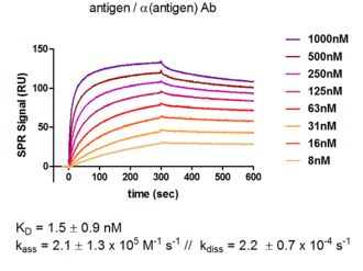 quantitative antibody study with 1:1 Langmuir binding model for kinetic data evaluation
